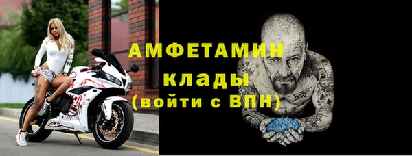 PSILOCYBIN Кукмор