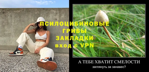 PSILOCYBIN Кукмор