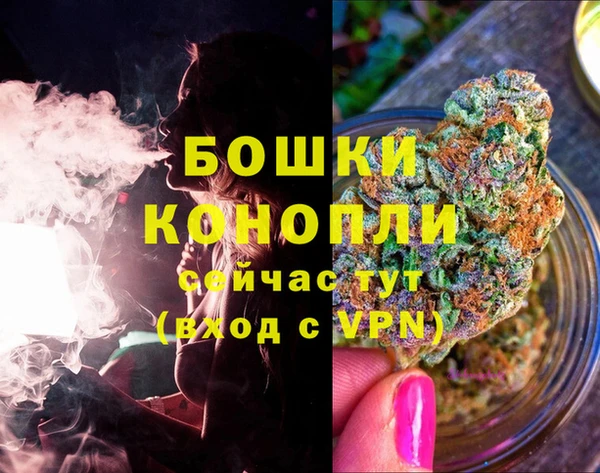 PSILOCYBIN Кукмор