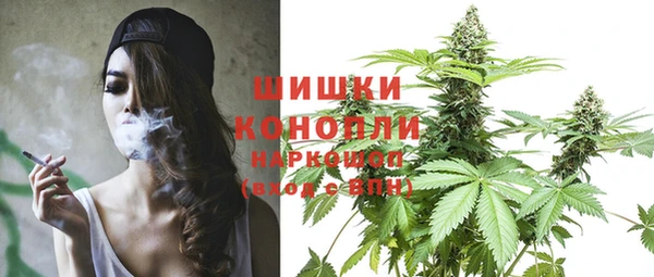 PSILOCYBIN Кукмор